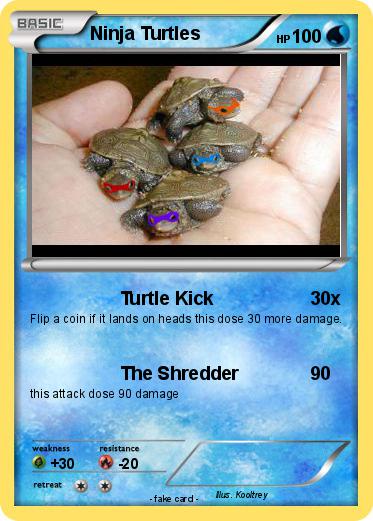Pokemon Ninja Turtles