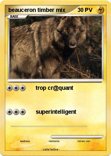 Pokemon beauceron timber mix