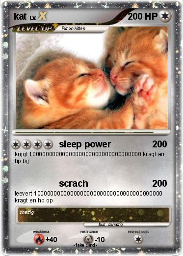 Pokemon kat