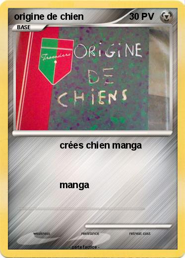 Pokemon origine de chien