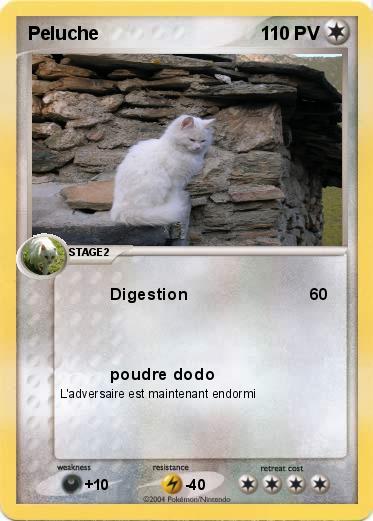 Pokemon Peluche