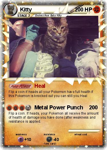 Pokemon Kitty