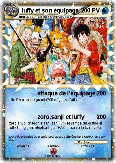 Pokemon luffy et son équipage