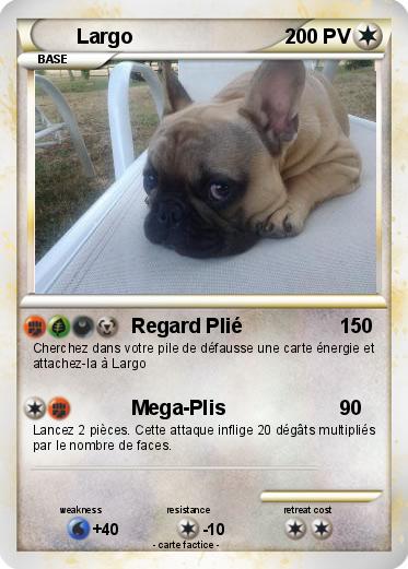 Pokemon Largo