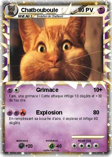 Pokemon Chatbouboule