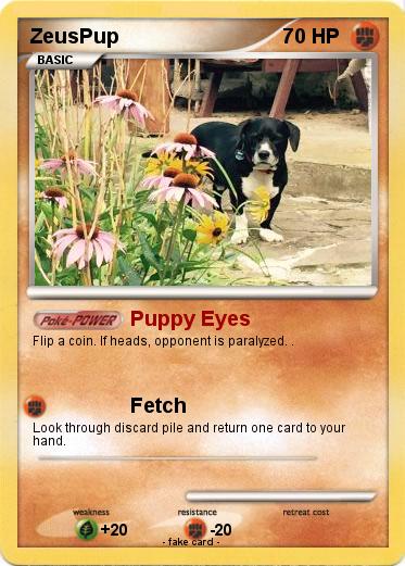 Pokemon ZeusPup