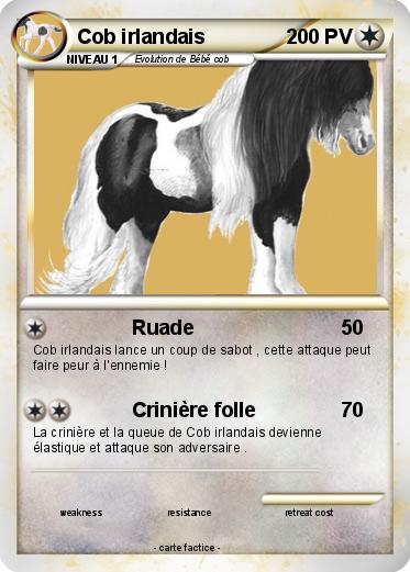 Pokemon Cob irlandais