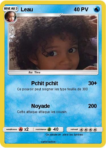 Pokemon Leau
