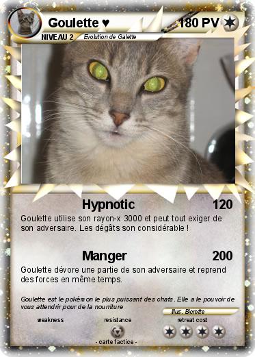 Pokemon Goulette ♥