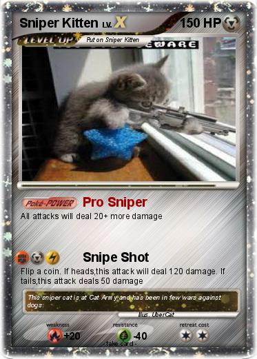 Pokemon Sniper Kitten