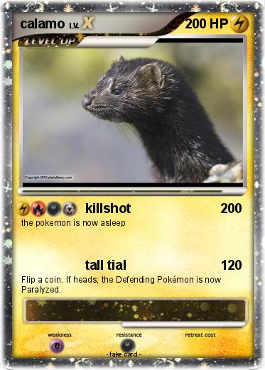 Pokemon calamo