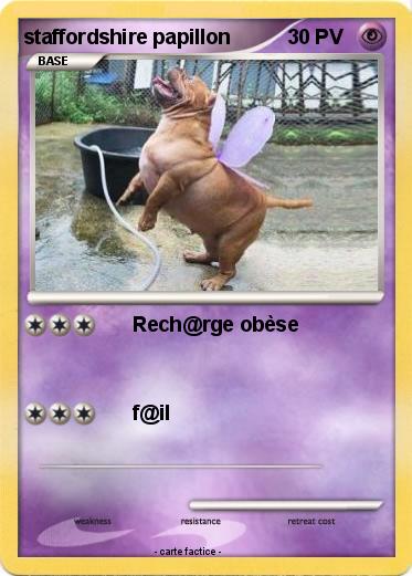 Pokemon staffordshire papillon