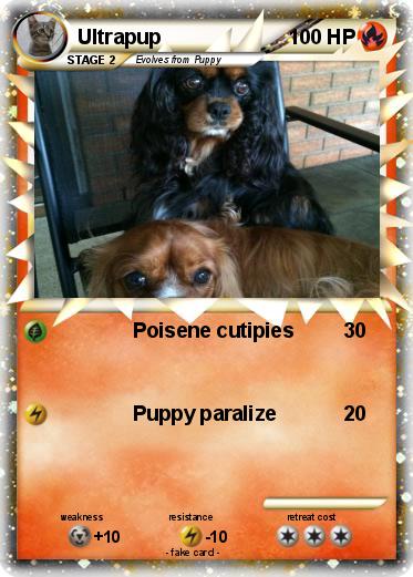 Pokemon Ultrapup
