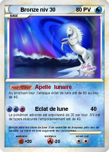 Pokemon Bronze niv 30