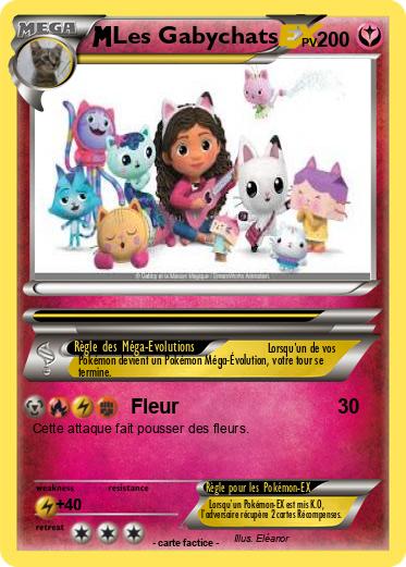 Pokemon Les Gabychats