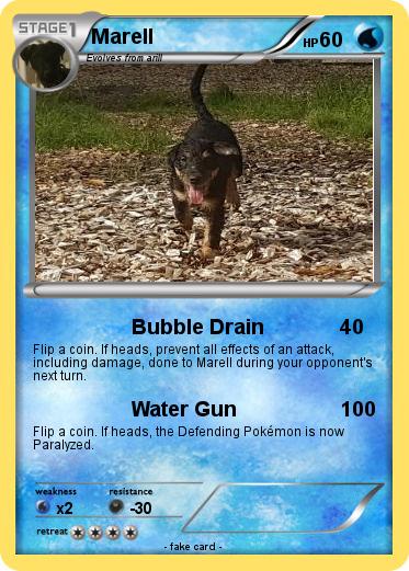 Pokemon Marell