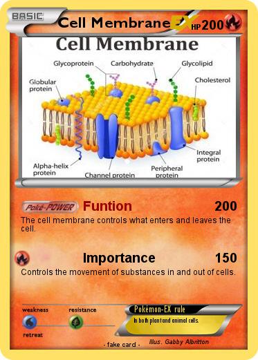 Pokemon Cell Membrane