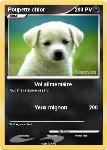 Pokemon Poupette chiot