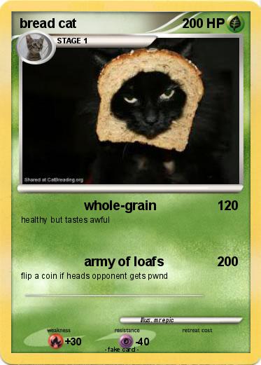 Pokemon bread cat