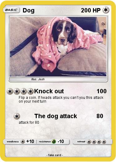 Pokemon Dog