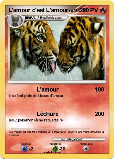 Pokemon L'amour c'est L'amour