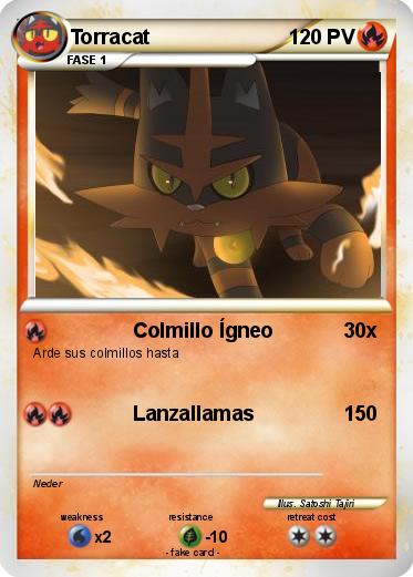 Pokemon Torracat