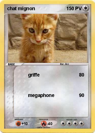 Pokemon chat mignon