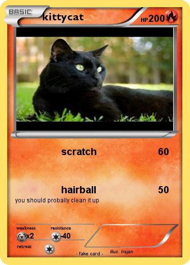 Pokemon kittycat