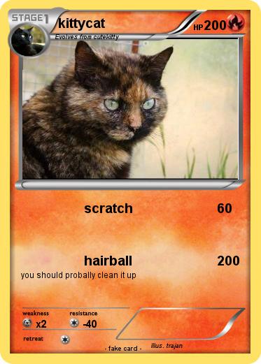 Pokemon kittycat
