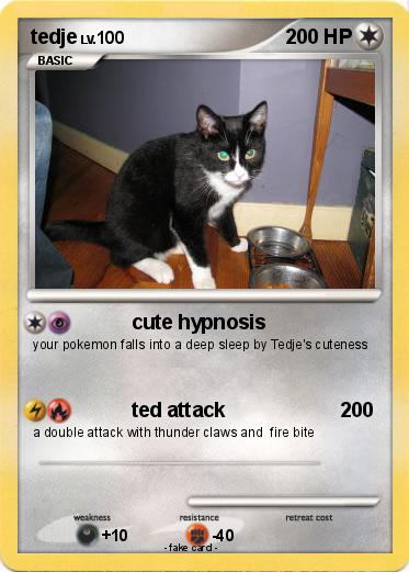 Pokemon tedje