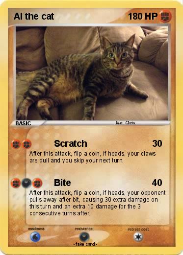 Pokemon Al the cat