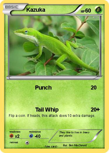 Pokemon Kazuka