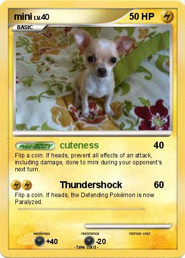 Pokemon mini