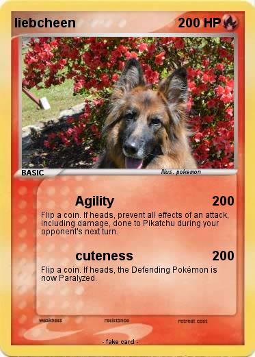 Pokemon liebcheen