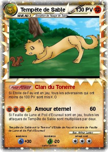 Pokemon Tempête de Sable