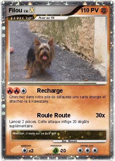 Pokemon Filou