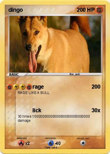 Pokemon dingo