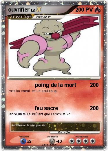 Pokemon ouvrifier