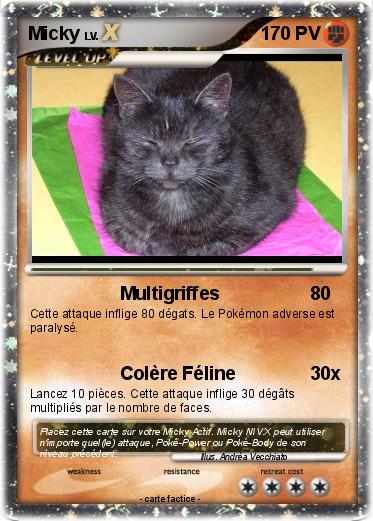 Pokemon Micky
