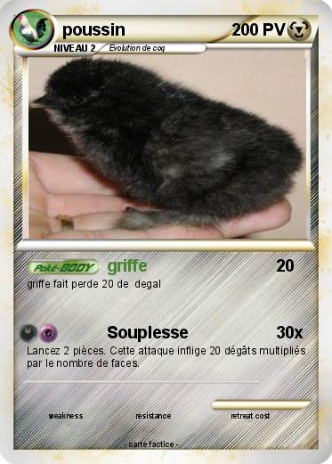 Pokemon poussin