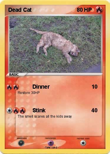 Pokemon Dead Cat