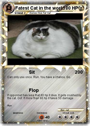 Pokemon Fatest Cat in the world