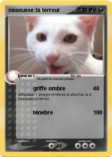 Pokemon miaousse:la terreur