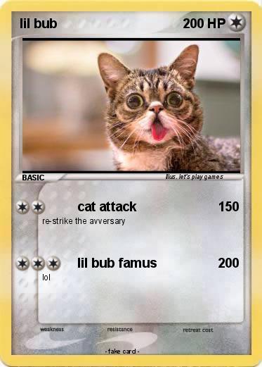 Pokemon lil bub