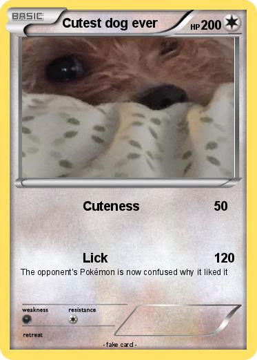 Pokemon Cutest dog ever