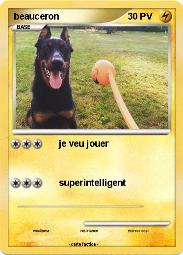 Pokemon beauceron
