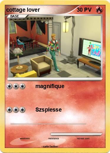 Pokemon cottage lover