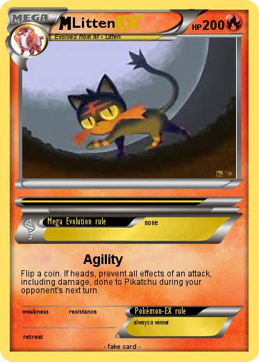 Pokemon Litten