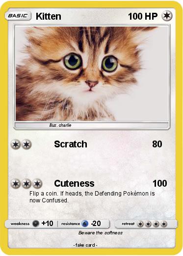 Pokemon Kitten