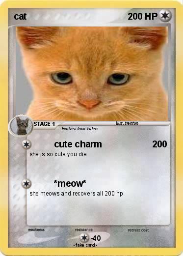 Pokemon cat